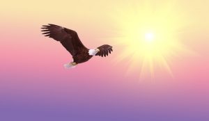 aigle symbolisant le Control du ciel